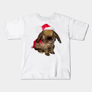 Holiday Rabbit Santa Claus Kids T-Shirt